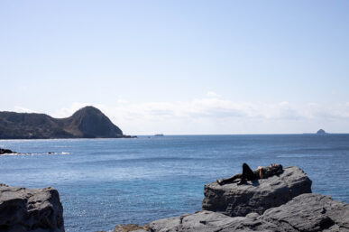 Kozushima prides itself on its hospitality, and the locals do their best to ensure that visitors to the island have a really great experience. The majority of the accommodations on the island are small guest houses and family-run bed and breakfasts that really allow you to get to know the owners. See our list of recommended lodgings to figure out where you should stay during your visit.